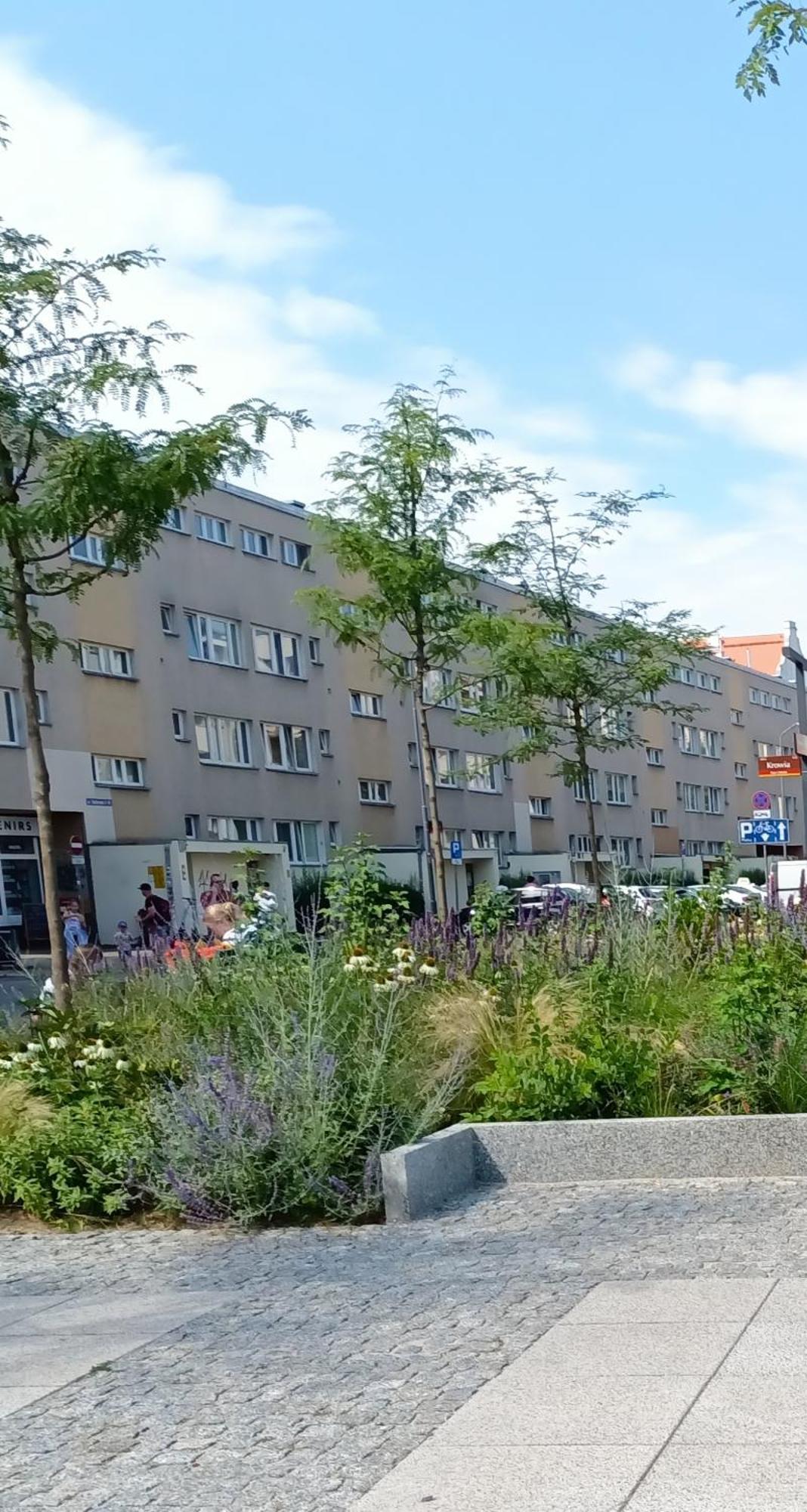 Kotlarska Apartment فروتسواف المظهر الخارجي الصورة